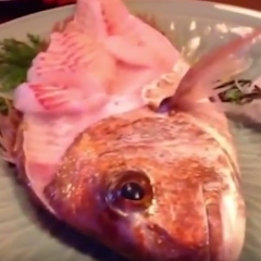 Þetta sushi var svo ferskt að það hoppaði af diskinum